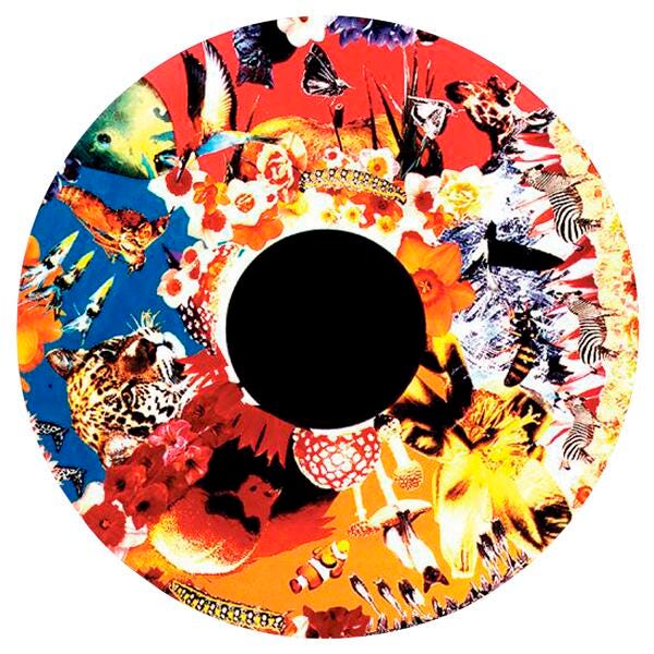 Solar Effect Wheel, Safari 2125706